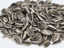 sunflower_seeds_png