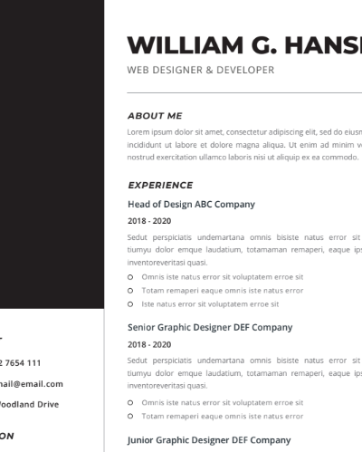 Professional CV Resume Vol.23