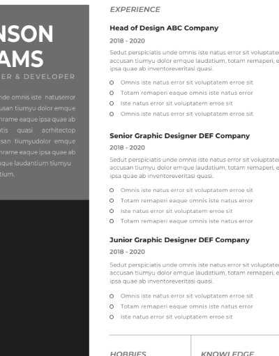 Professional CV Resume Template Vol.8