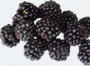blackberry_png