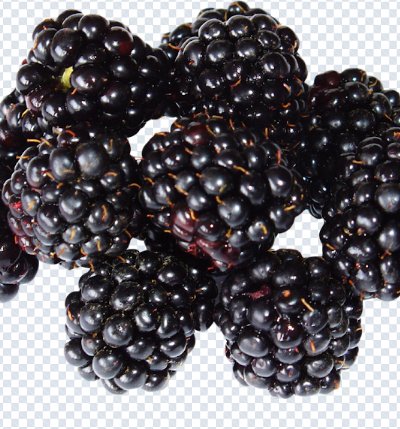 blackberry_png