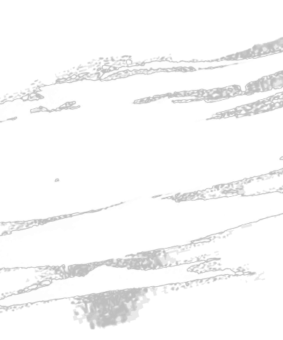 Brushes