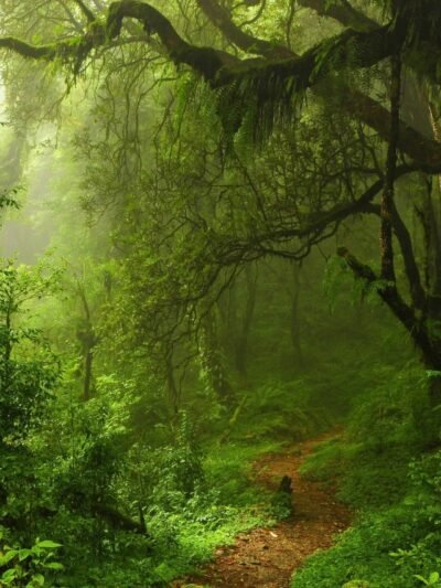 Nature and Landscapes