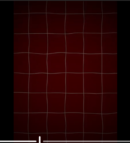 Red grid(1)