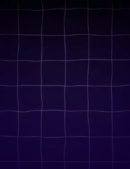 Violet Toned.jpg