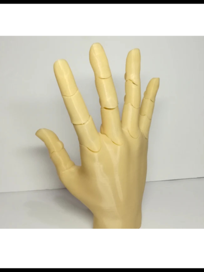 HANDS
