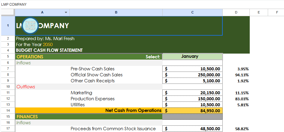 Budget Cash Flow Template.xlsx