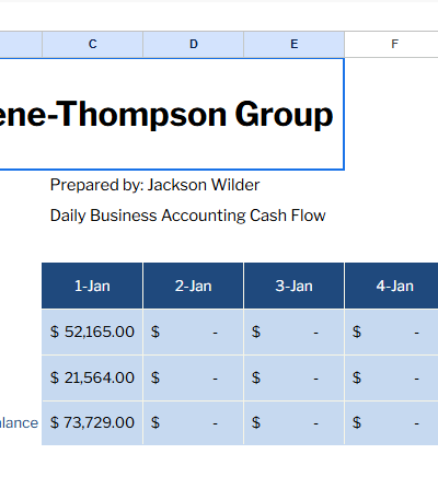 Daily Business Accounting Cash Flow Template.xlsx