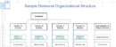 divisional org chart.xlsx