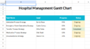 Hospital Management Gantt Chart (2).xlsx