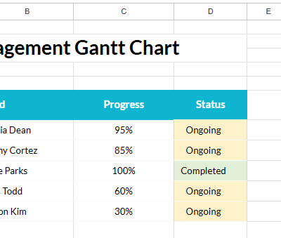 Hospital Management Gantt Chart.xlsx