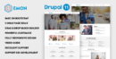 elements amon responsive business drupal theme F2
