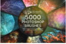 5,000+ Photoshop Brushes