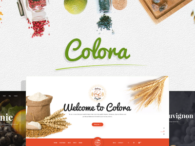 elements colora organic responsive magento theme