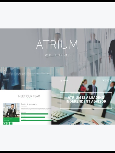 elements atrium finance consulting wordpress them