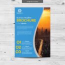 1155 Flyers Pamphlets